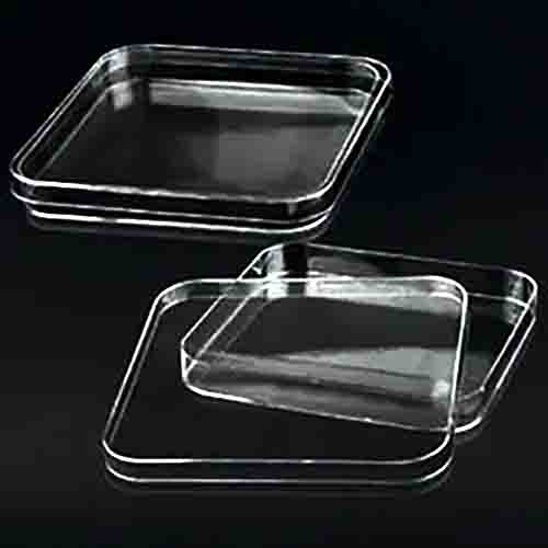 Rectangular Clear Quartz Trays