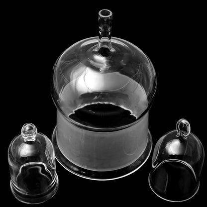 Quartz Flange Bell Jars